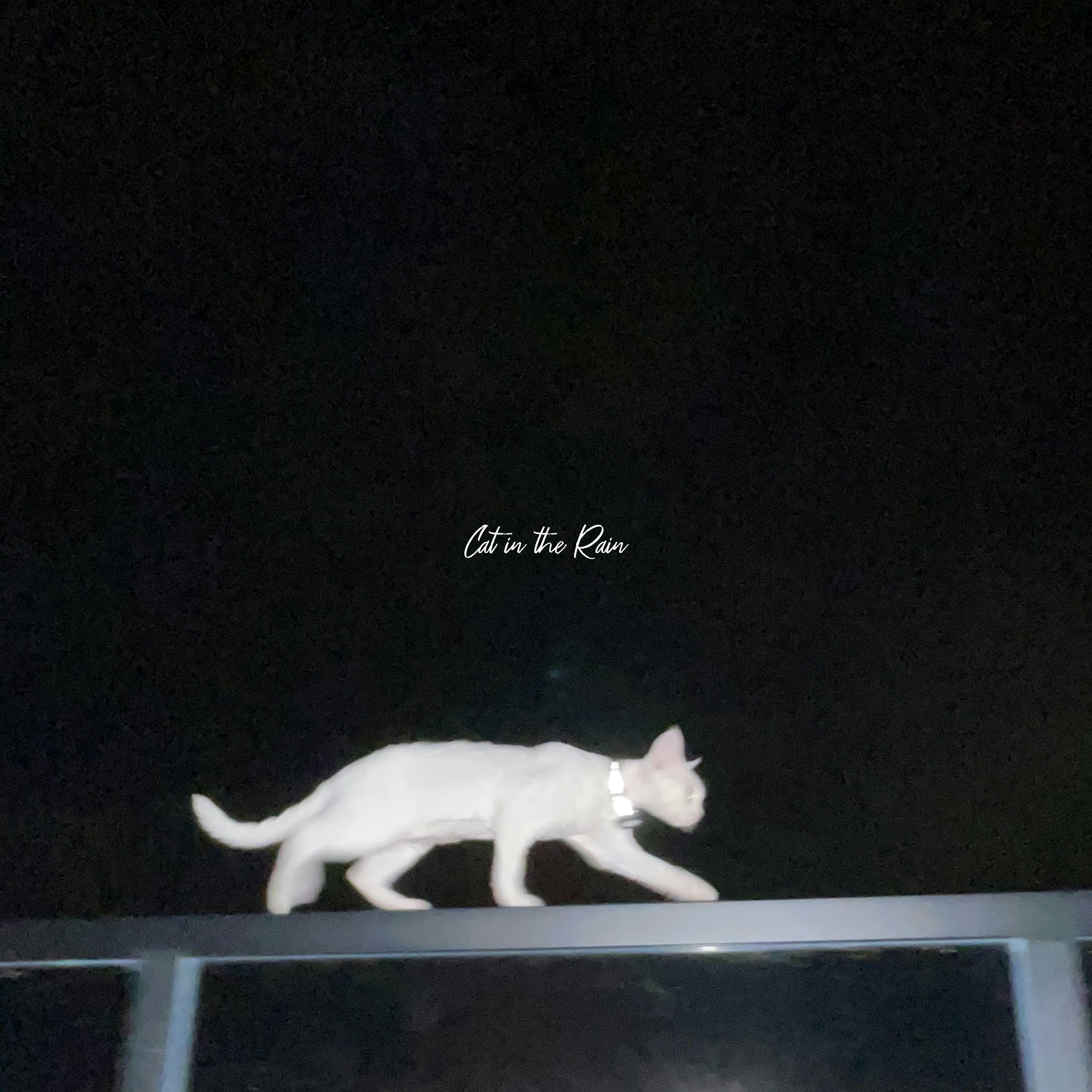 Cat in the Rain