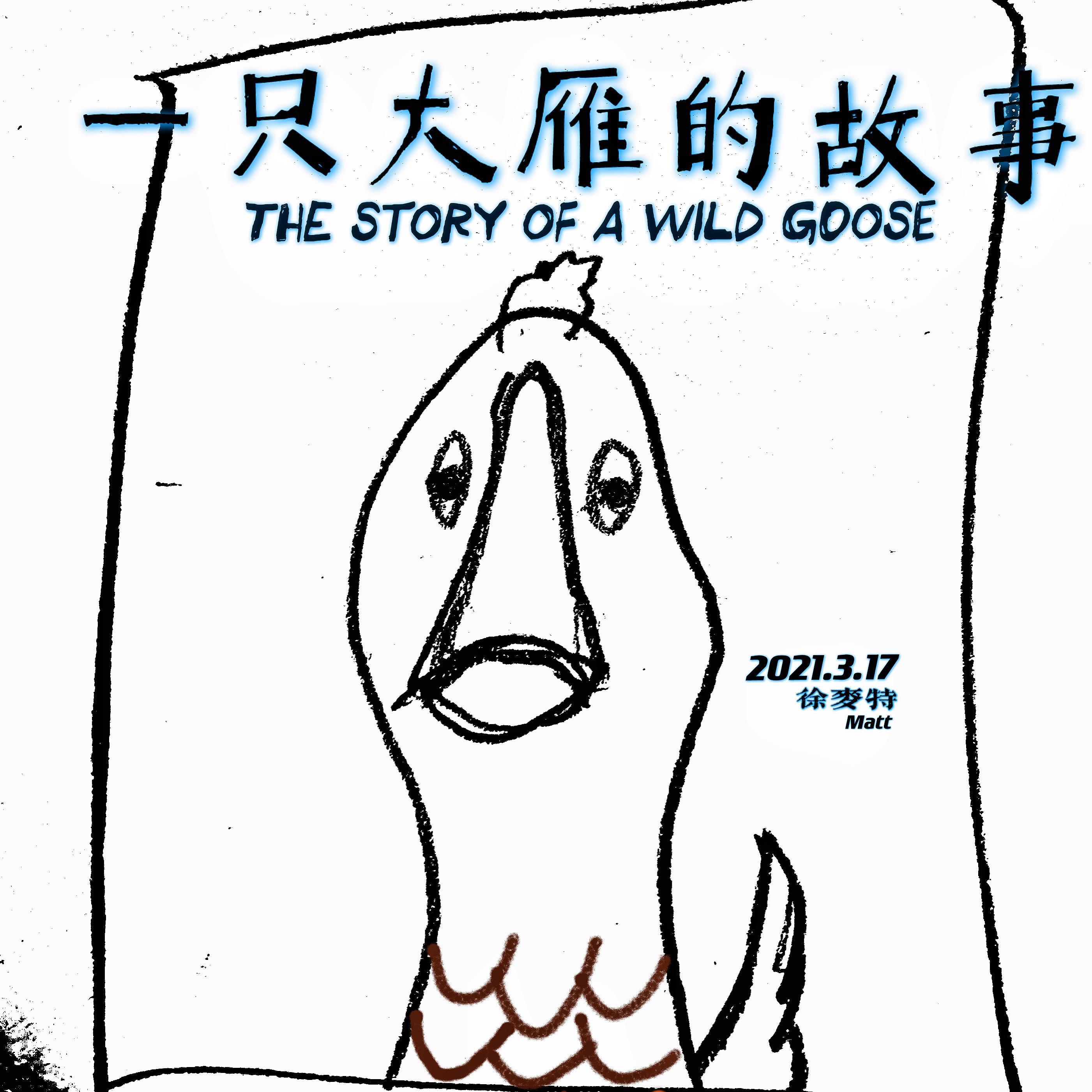 一只大雁的故事