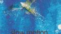 Slow Motion专辑