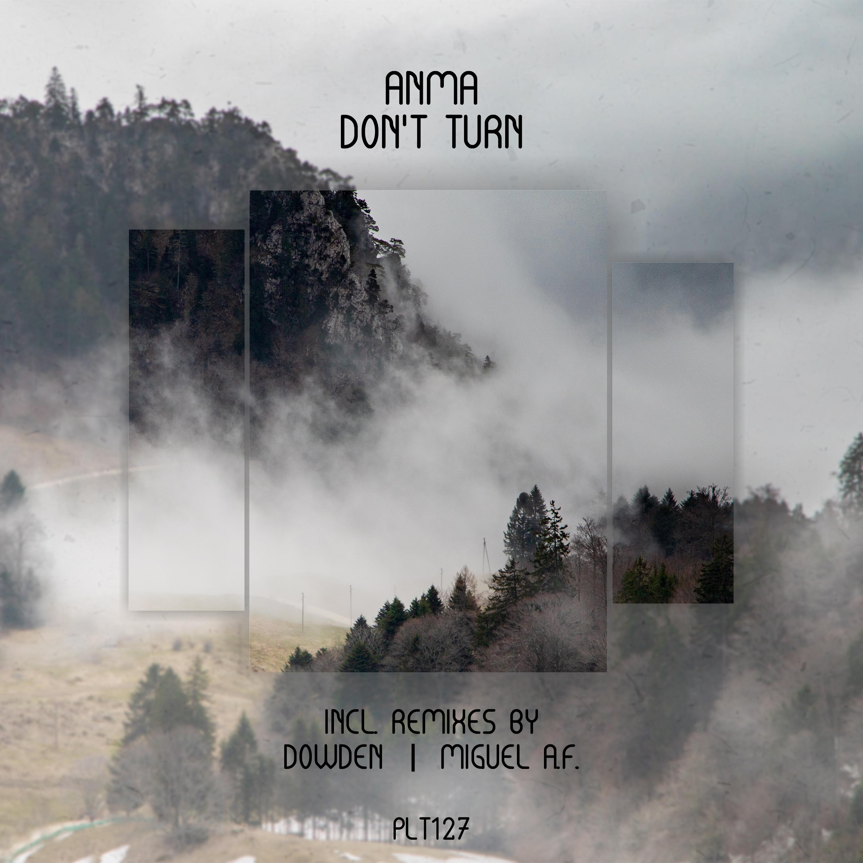 Don't Turn (Incl. Remixes) (Listener Edition)