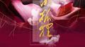 电视剧《东宫》插曲《小狐狸》专辑