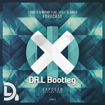 Forecast (DR.L Bootleg)专辑