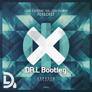 Forecast (DR.L Bootleg)