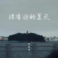 苏星婕 - 没有你的夏天