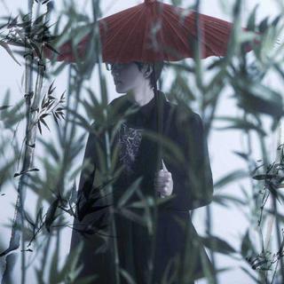 许嵩 y y d s
