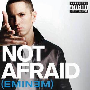 Eminem - Not Afraid 【Piano Instrumental】 （降2半音）