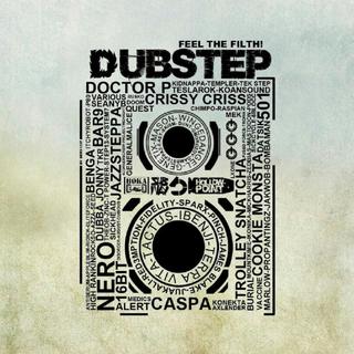 ☠️ 【 DubStep & BroStep】