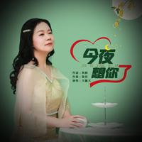 今夜我想你了(对唱纯伴奏)