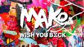 Wish You Back (The Him Radio Edit)专辑