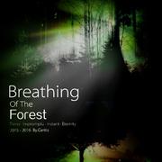 Breath of the forest（森林的呼吸）