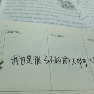 生活不允许普通人内向《静心，学习专用》