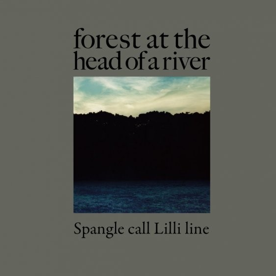 forest at the head of a river