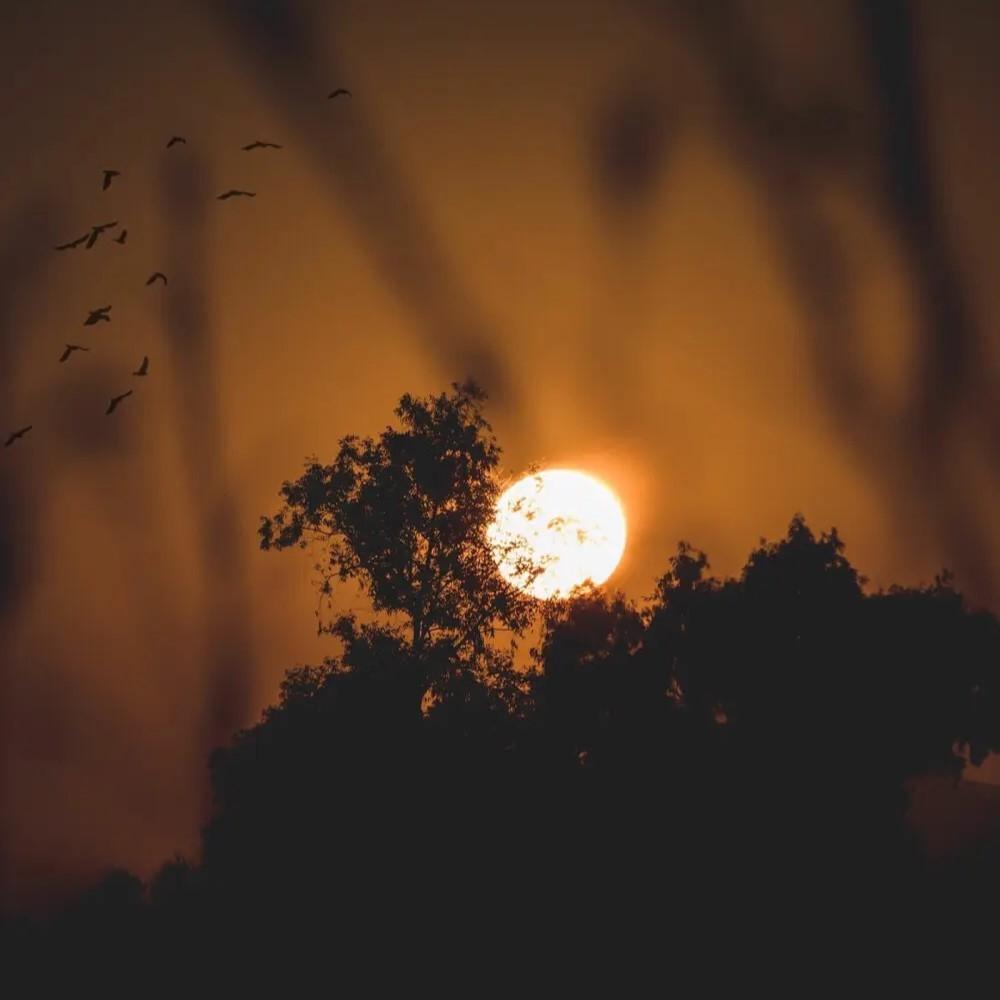 拆穿（抖音热播女版）