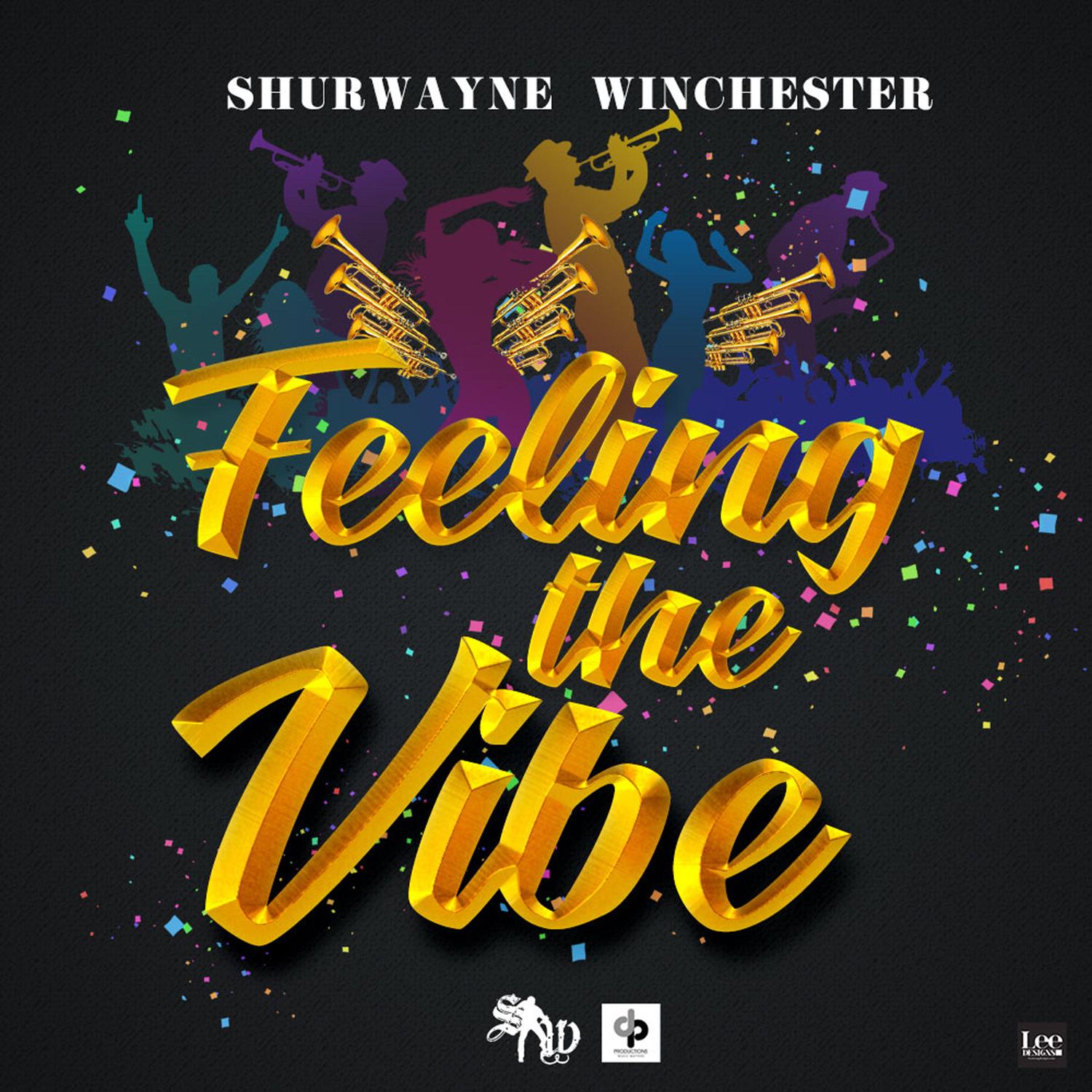 Feeling the Vibe