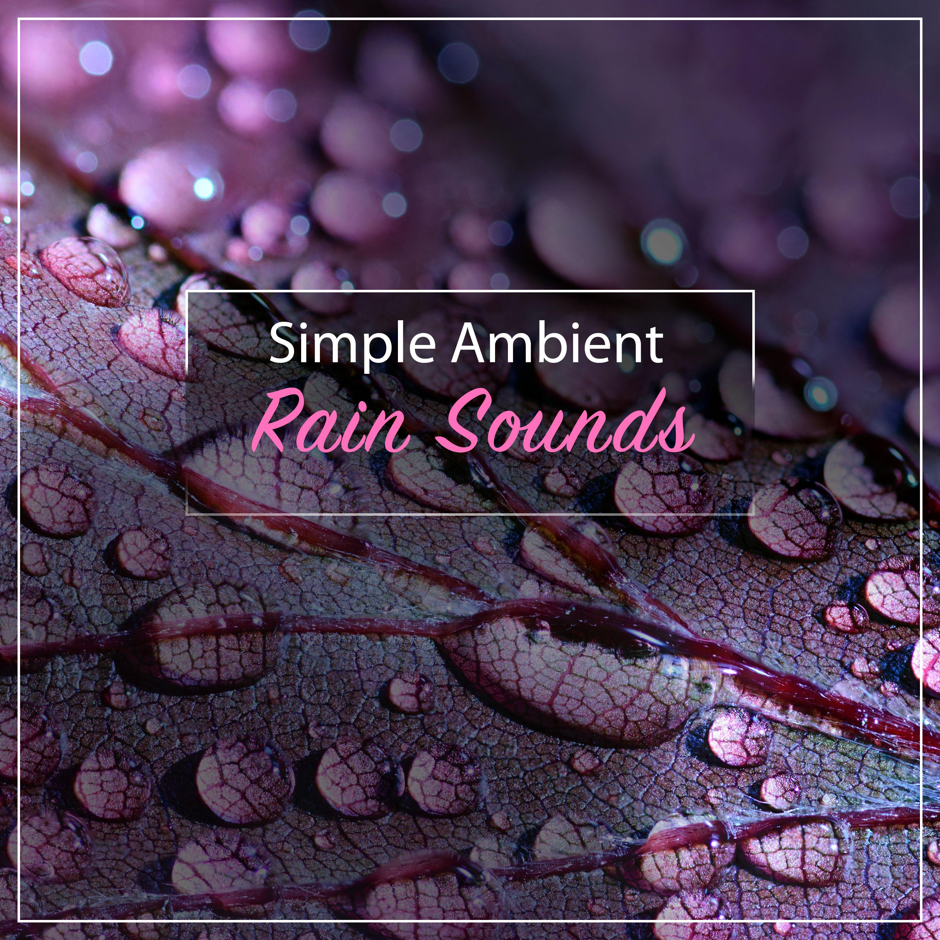 #5 Simple Ambient Rain Sounds to Loop专辑