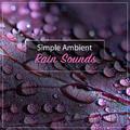 #5 Simple Ambient Rain Sounds to Loop