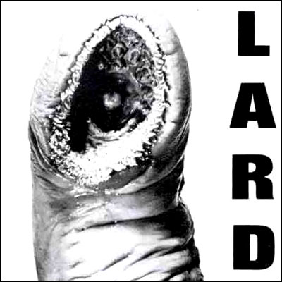 Power Of Lard