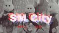 SM City专辑