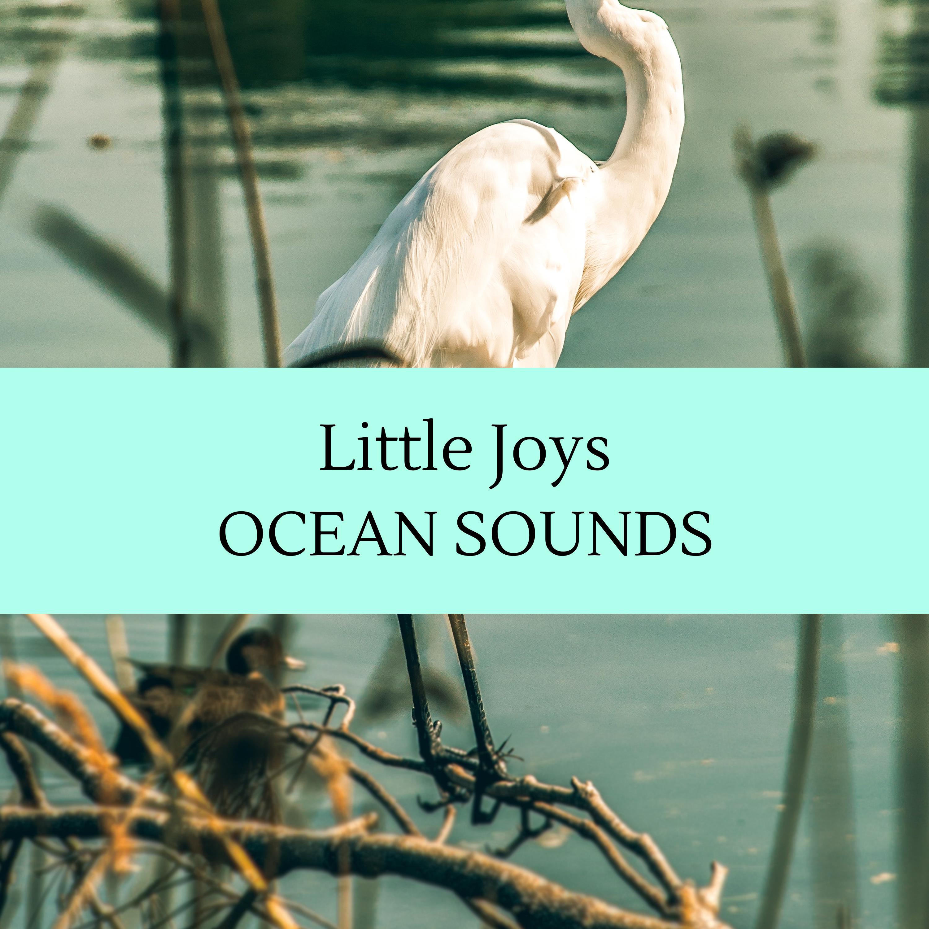 Blissful Ocean Music Library - Birds Love with Rain Audio