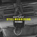 Still Wondering (Remixes)专辑
