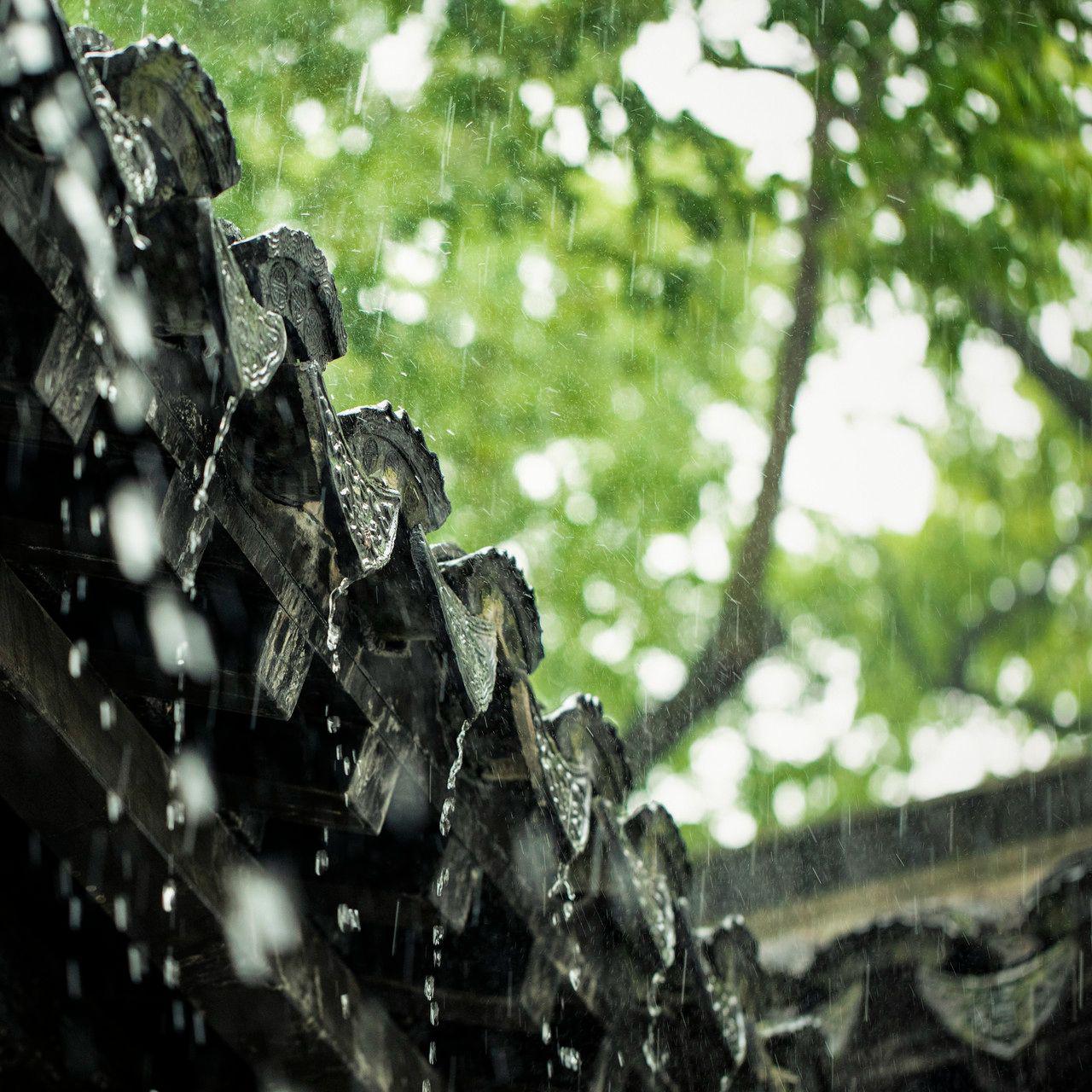 我在雨巷等你专辑