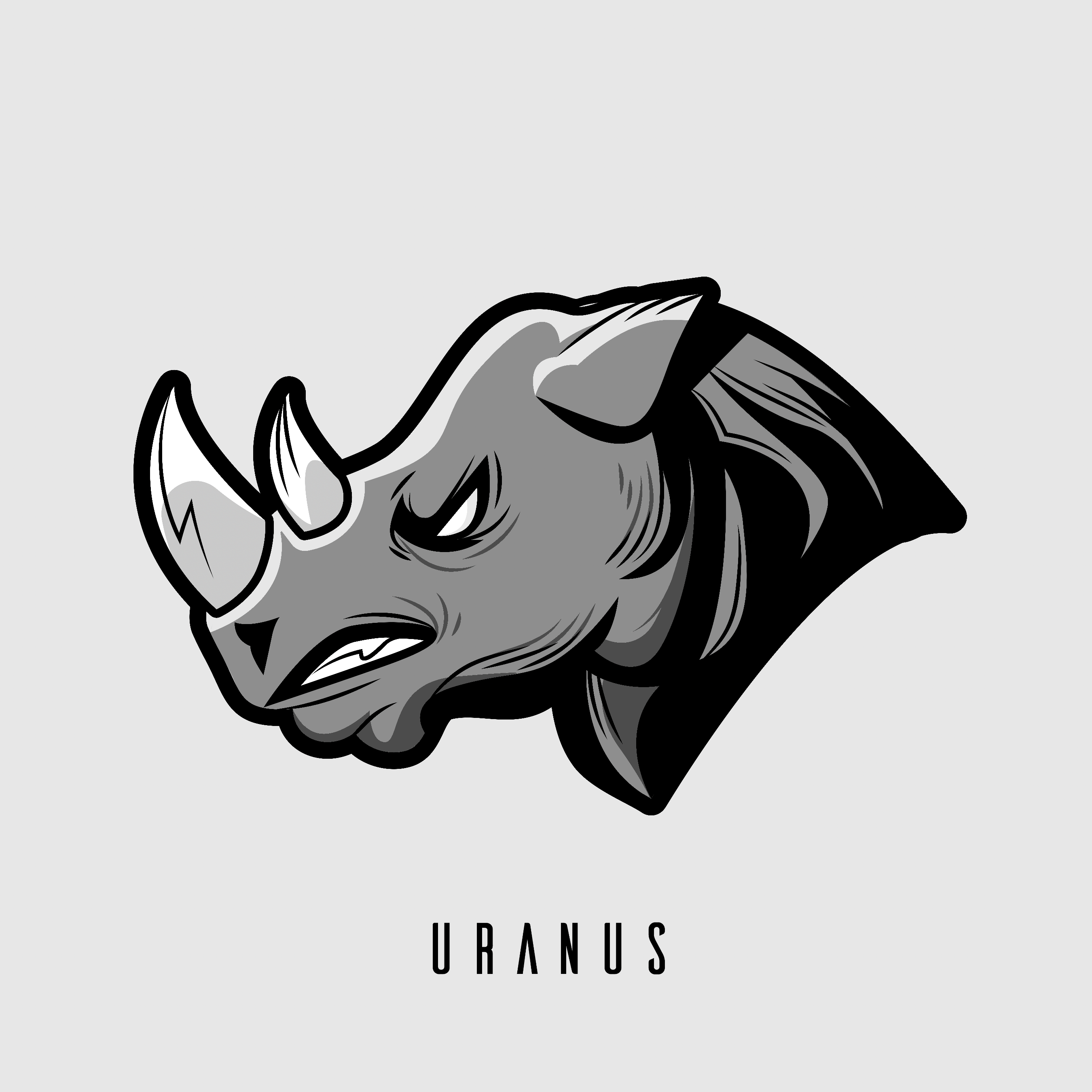 【Beat】‘Rhino’