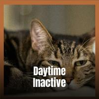 Daytime Inactive