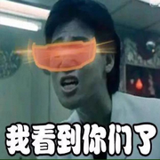我看到你们了