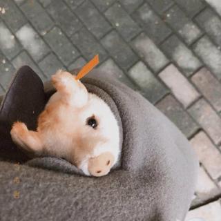 生活明朗 万物可爱