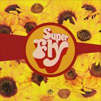 Superfly - Rhiannon 苏荷新版女歌最新摇滚伴奏