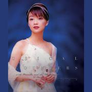 夜机/傻女