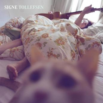 Signe Tollefsen