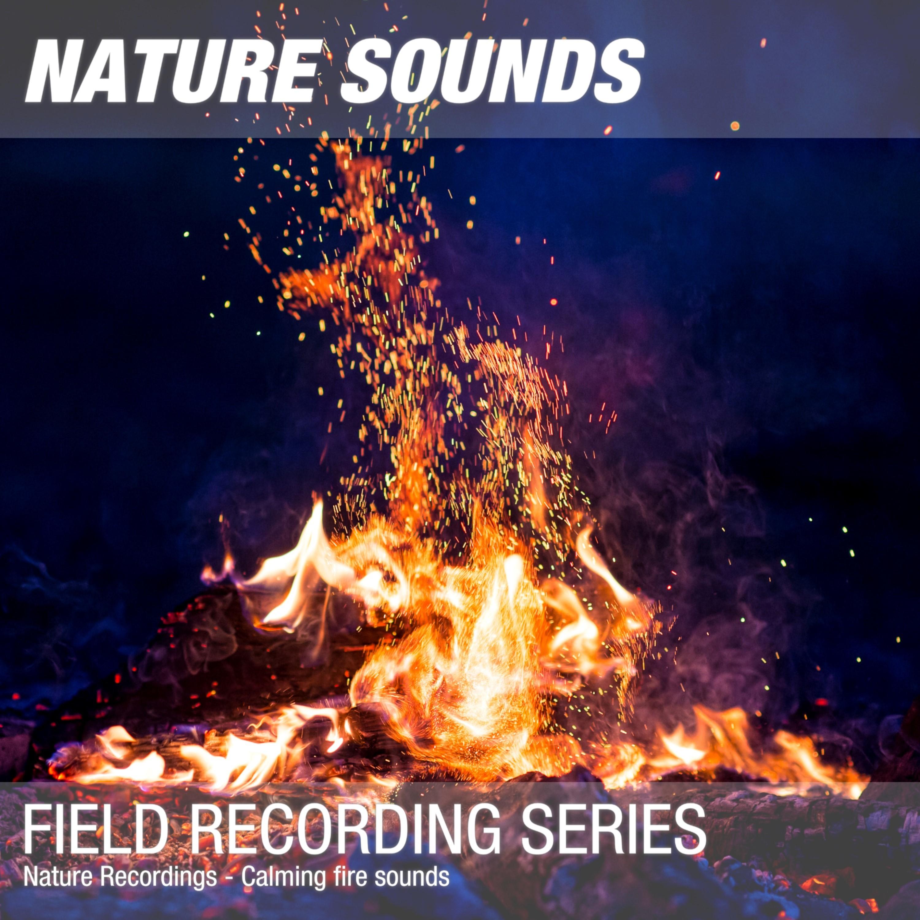 Nature Sounds for Sleep & Relaxation (Soothing campfire at night) 03