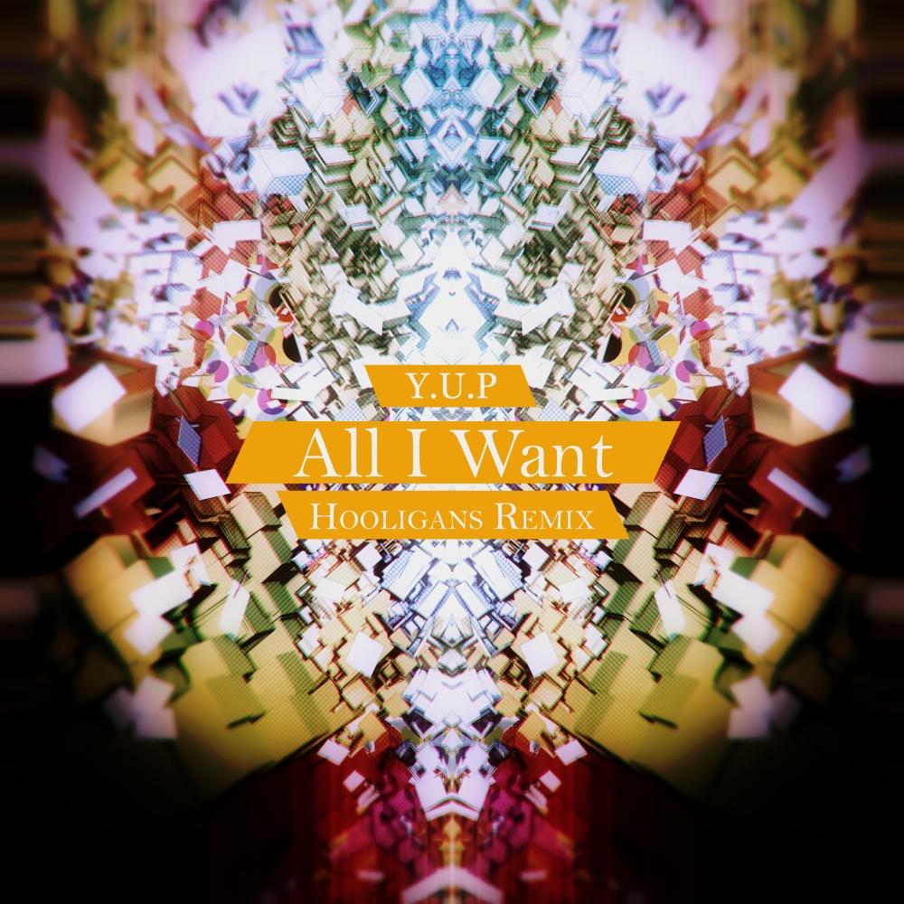 All I Want (Hooligans Remix)