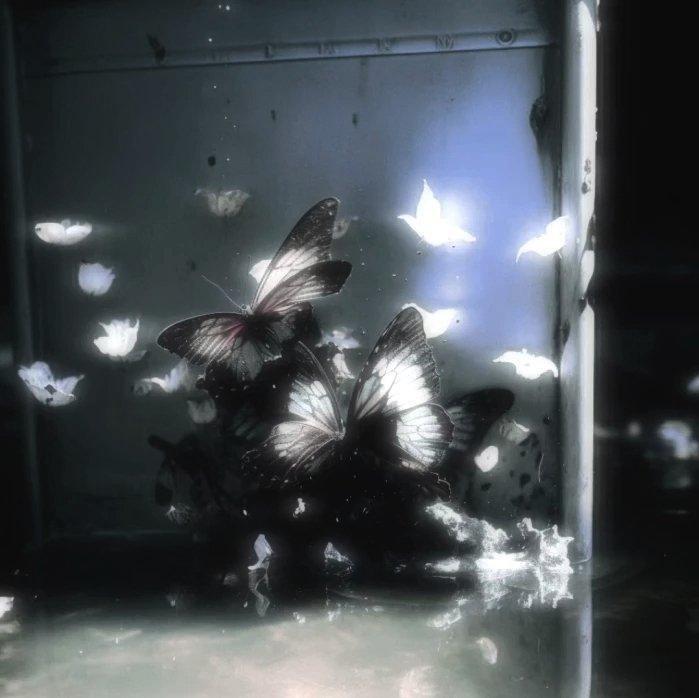 【欢迎进入梦魇直播间】主题曲《Believer》—大C