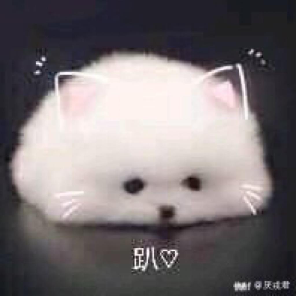 清弄的吴语改编翻唱系列