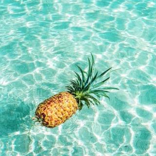 完美夏天 |少了清新入耳的欢快节奏怎么能行