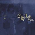 分离焦虑Pt.2专辑