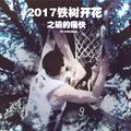 2017铁树开花之输的痛快