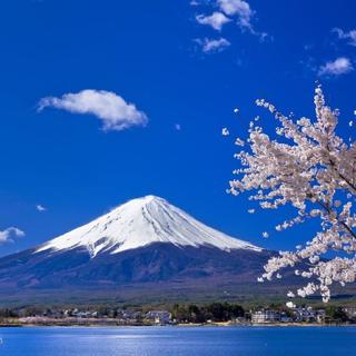 日本 | 一个把纯音做到极致的国家