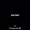 too late专辑