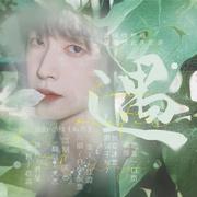 遇（刘宇应援曲)（翻自 苏玮（小残））