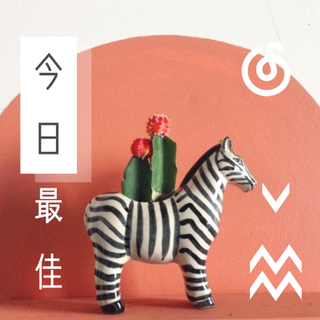 今日最佳 | 听今日的份