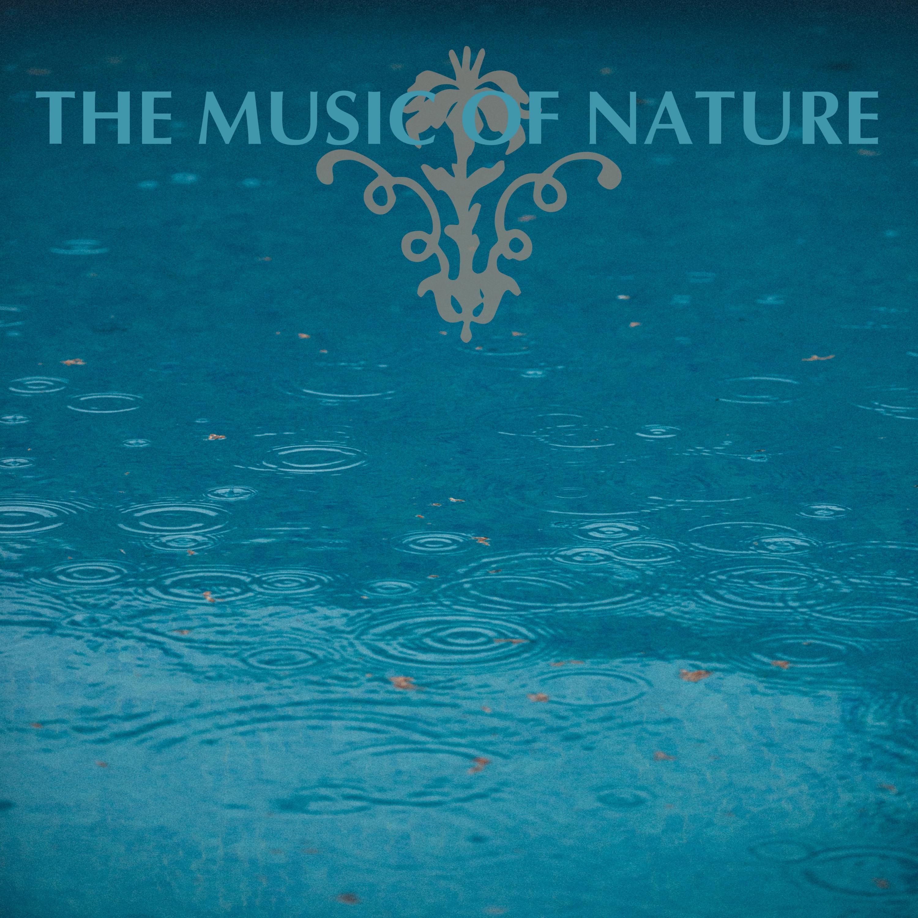 The Music of Nature专辑