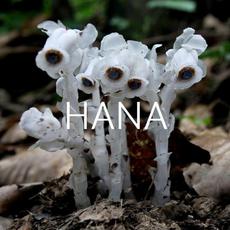 HANA