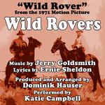 Wild Rovers (Theme From the 1971 Motion Picture)专辑