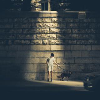 华语·踽踽独行在静谧林荫道