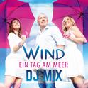 Ein Tag am Meer (DJ Mix)专辑