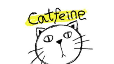 猫上瘾Catfeine