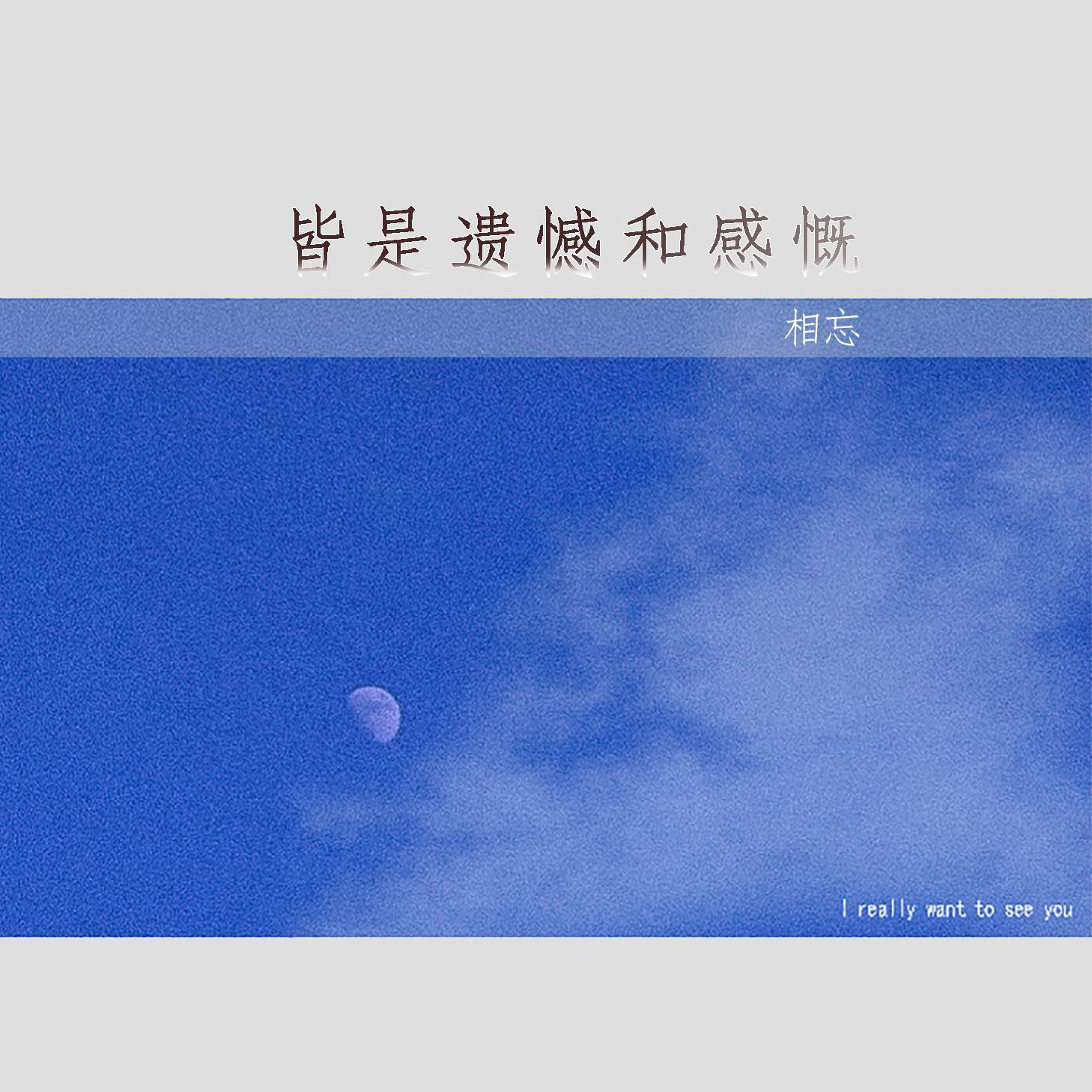 皆是遗憾和感慨